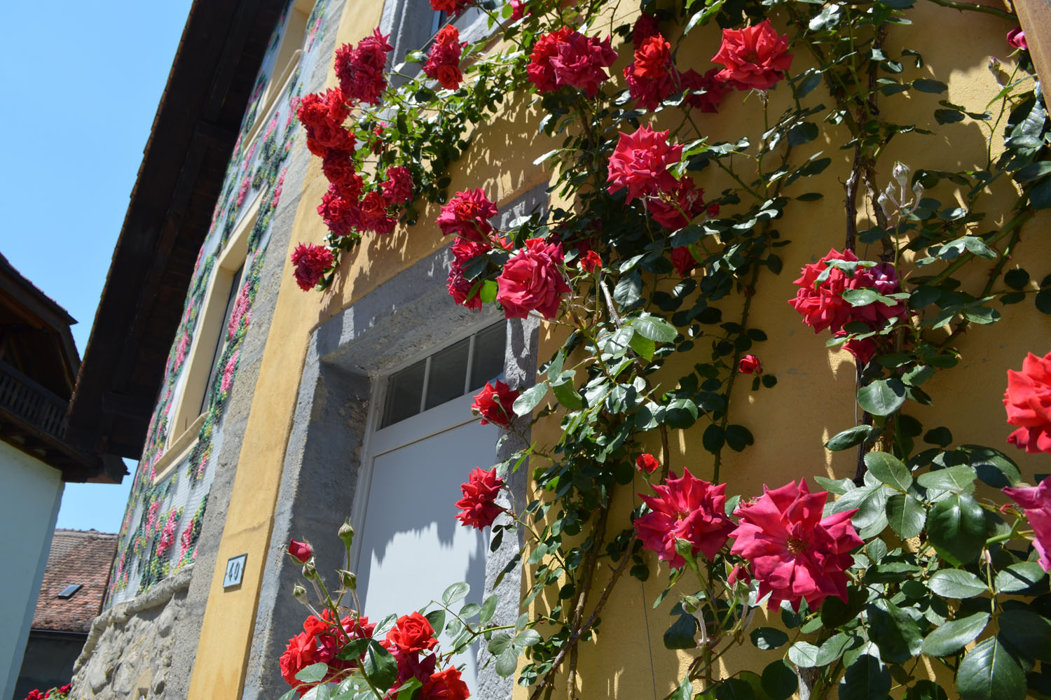 Flores — real roses climbing the wall with embroidered facade visible behind